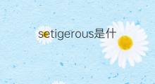 setigerous是什么意思 setigerous的中文翻译、读音、例句