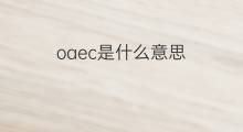 oaec是什么意思 oaec的中文翻译、读音、例句