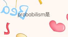 probabilism是什么意思 probabilism的中文翻译、读音、例句