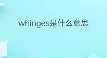 whinges是什么意思 whinges的中文翻译、读音、例句