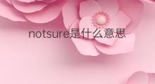 notsure是什么意思 notsure的翻译、读音、例句、中文解释