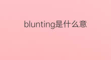 blunting是什么意思 blunting的中文翻译、读音、例句
