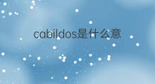 cabildos是什么意思 cabildos的中文翻译、读音、例句