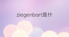 ziegenbart是什么意思 ziegenbart的翻译、读音、例句、中文解释