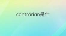contrarian是什么意思 contrarian的中文翻译、读音、例句