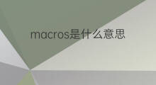 macros是什么意思 macros的中文翻译、读音、例句