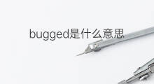 bugged是什么意思 bugged的中文翻译、读音、例句