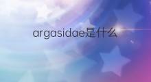 argasidae是什么意思 argasidae的中文翻译、读音、例句