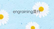 engraining是什么意思 engraining的中文翻译、读音、例句