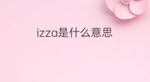 izza是什么意思 izza的中文翻译、读音、例句