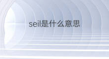 seil是什么意思 seil的中文翻译、读音、例句