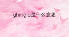 ghingia是什么意思 ghingia的中文翻译、读音、例句