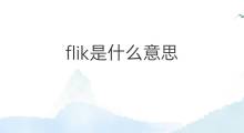 flik是什么意思 flik的中文翻译、读音、例句