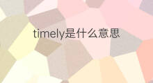 timely是什么意思 timely的翻译、读音、例句、中文解释