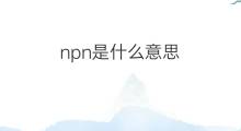 npn是什么意思 npn的中文翻译、读音、例句
