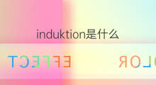 induktion是什么意思 induktion的中文翻译、读音、例句