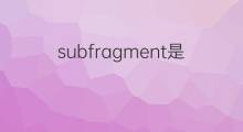 subfragment是什么意思 subfragment的中文翻译、读音、例句