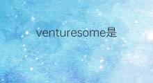 venturesome是什么意思 venturesome的中文翻译、读音、例句