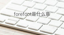 forefoot是什么意思 forefoot的中文翻译、读音、例句