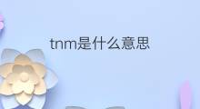 tnm是什么意思 tnm的翻译、读音、例句、中文解释