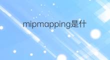 mipmapping是什么意思 mipmapping的中文翻译、读音、例句