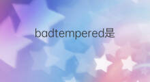 badtempered是什么意思 badtempered的中文翻译、读音、例句