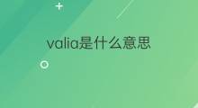 valia是什么意思 valia的中文翻译、读音、例句