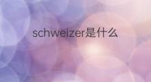 schweizer是什么意思 schweizer的中文翻译、读音、例句