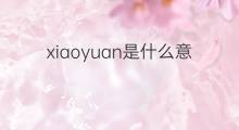 xiaoyuan是什么意思 xiaoyuan的中文翻译、读音、例句