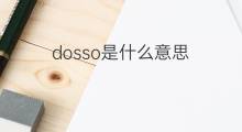 dosso是什么意思 dosso的中文翻译、读音、例句