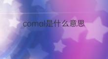 comal是什么意思 comal的中文翻译、读音、例句