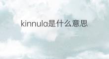 kinnula是什么意思 kinnula的中文翻译、读音、例句