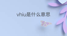 vhiu是什么意思 vhiu的中文翻译、读音、例句