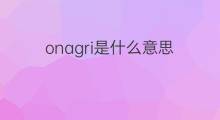 onagri是什么意思 onagri的翻译、读音、例句、中文解释