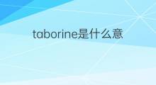 taborine是什么意思 taborine的中文翻译、读音、例句
