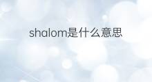 shalom是什么意思 shalom的中文翻译、读音、例句