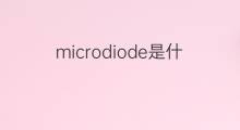 microdiode是什么意思 microdiode的中文翻译、读音、例句