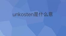 unkosten是什么意思 unkosten的中文翻译、读音、例句
