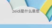 zeidi是什么意思 zeidi的中文翻译、读音、例句