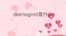 diamagnet是什么意思 diamagnet的中文翻译、读音、例句