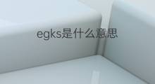 egks是什么意思 egks的翻译、读音、例句、中文解释