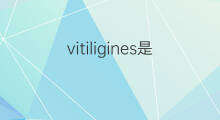 vitiligines是什么意思 vitiligines的中文翻译、读音、例句