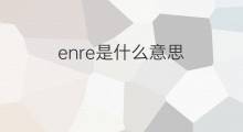 enre是什么意思 enre的中文翻译、读音、例句