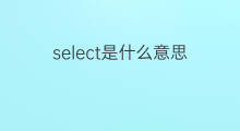 select是什么意思 select的翻译、读音、例句、中文解释
