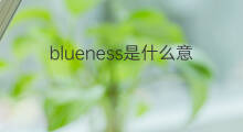 blueness是什么意思 blueness的中文翻译、读音、例句