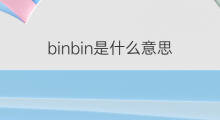 binbin是什么意思 binbin的中文翻译、读音、例句