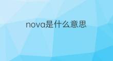 nova是什么意思 nova的翻译、读音、例句、中文解释