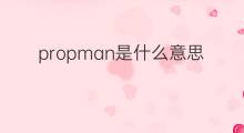 propman是什么意思 propman的中文翻译、读音、例句