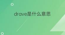 drave是什么意思 drave的中文翻译、读音、例句
