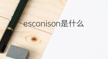 esconison是什么意思 esconison的中文翻译、读音、例句